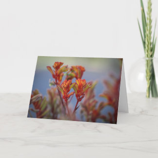 Jardín de Navidad del desierto planta roja verde