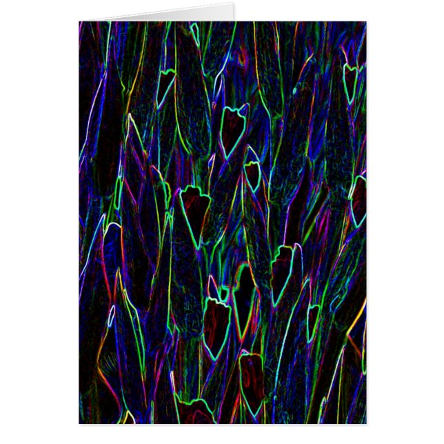 Jardín de neón 3 (Frente)