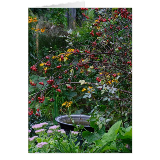 Jardín de otoño (Frente)