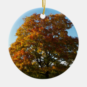 Jardín de Otoño, Ornamento de Rusia de San Petersb