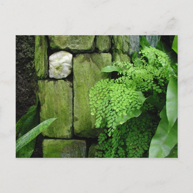 Jardín de Piedra - Postal (Anverso)