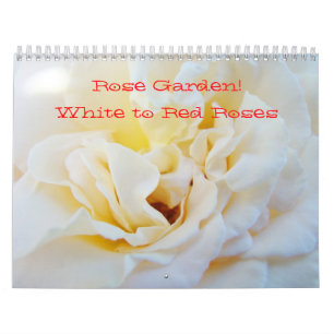 ¡Jardín de Rosas! Calendarios Fotografía de Blanco
