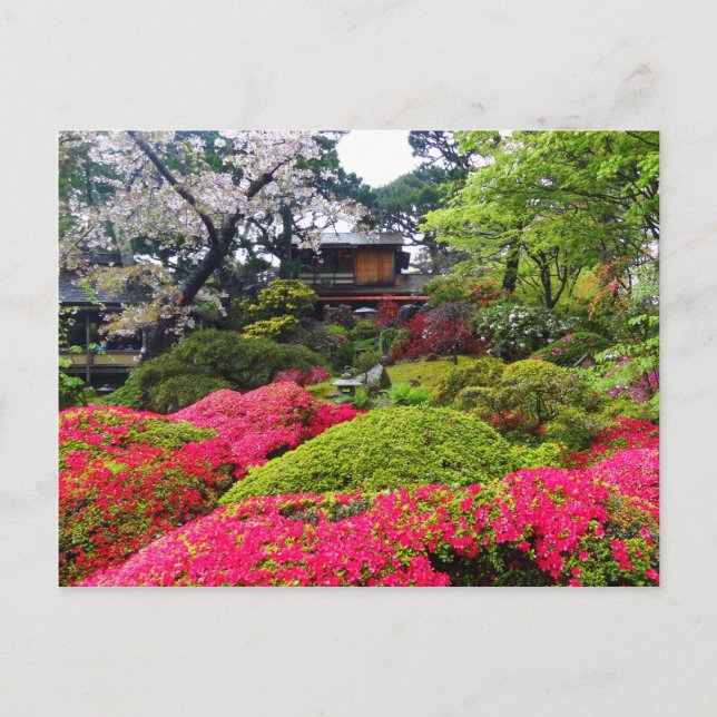 Jardín de té japonés de San Francisco #12 postal (Anverso)