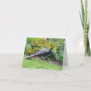 Jardín de verano con tarjeta de nota de pavo real