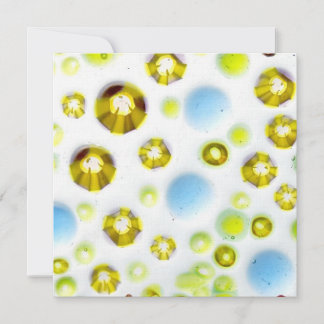 jardín de vidrio nº 3