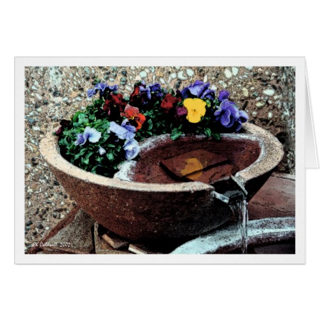 Jardín del Agua (Anverso (Horizontal))