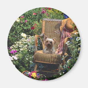 Jardín del imán de Yorkshire Terrier