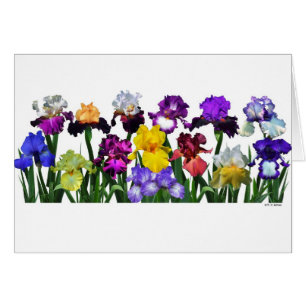 Jardín del iris