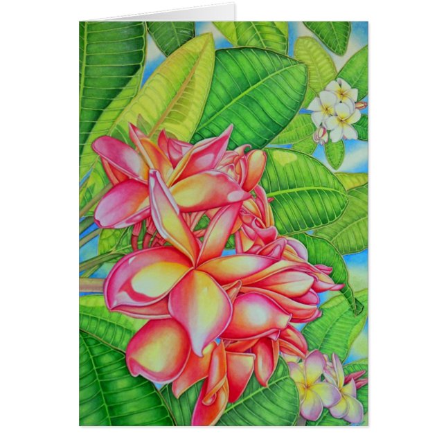 Jardín del Plumeria (Frente)