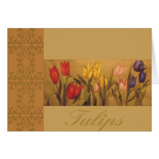 Jardín del tulipán