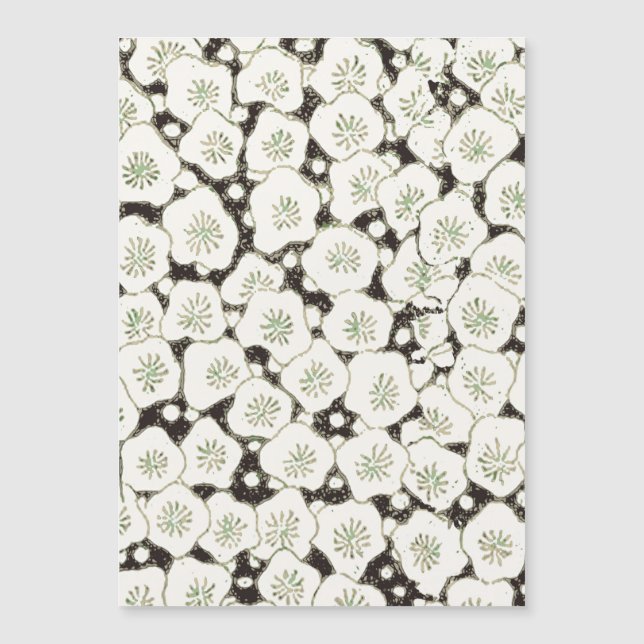 Jardín floral de la Flor Blanca de Japón (Anverso)