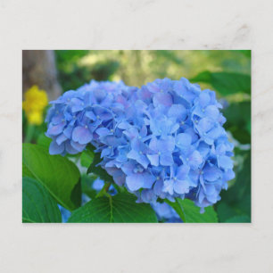 Jardín Floral de Verano Tarjeta Postal Hortensia A