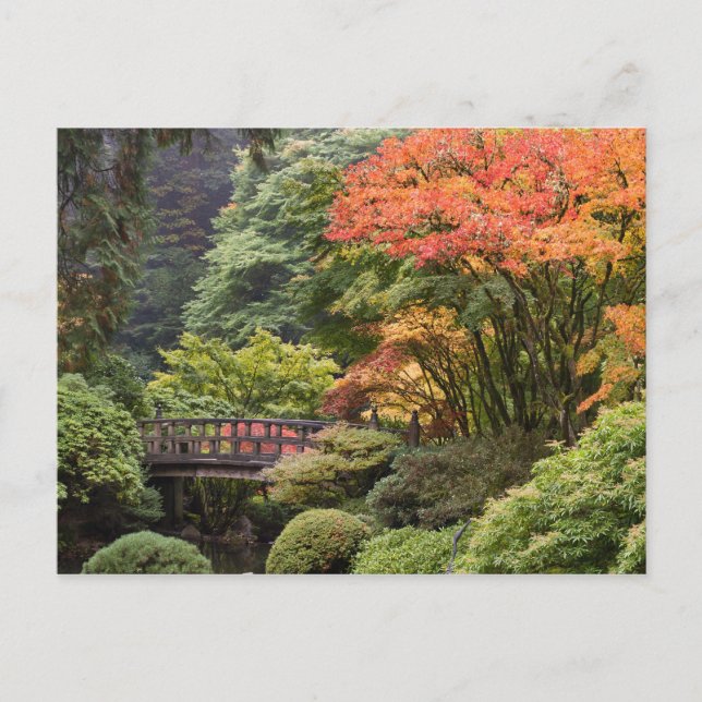 Jardín japonés en la postal de otoño (Anverso)