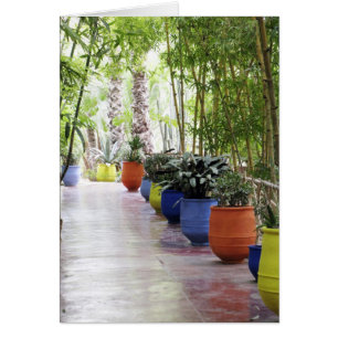 Jardin Majorelle, Majorelle Garden, ahora público