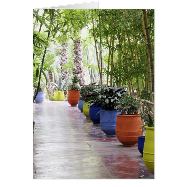 Jardin Majorelle, Majorelle Garden, ahora público (Frente)