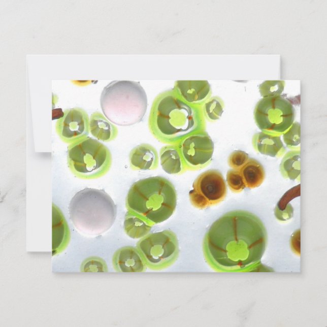 jardín nº 10 (Anverso)