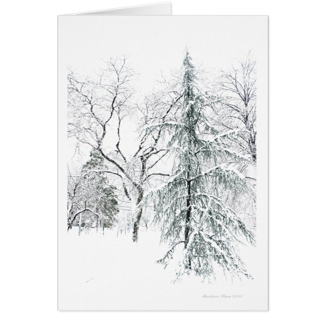 Jardín público de Boston (Frente)