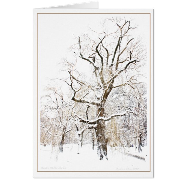 Jardín público de Boston (Frente)