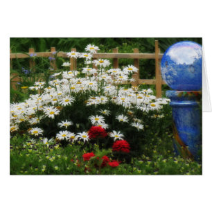 Jardín Shasta - Daisies