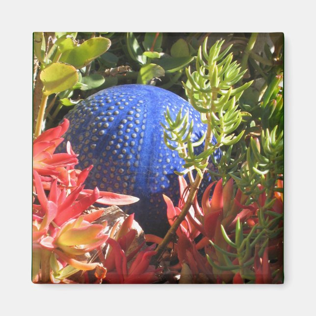 Jardín submarino de la planta con el imán orb (Frente)