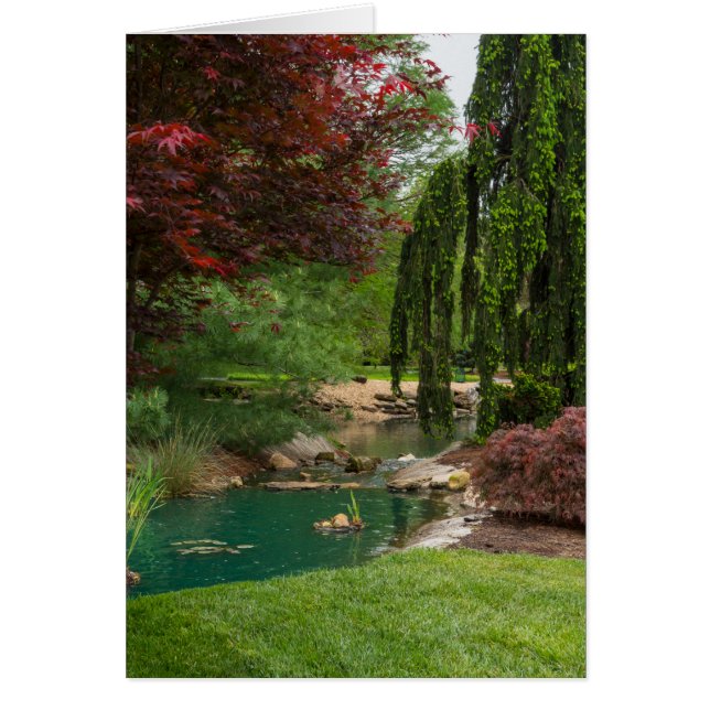 Jardín tranquilo (Frente)