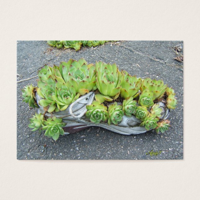 Jardinería de contenedores ~ ATC (Frente)