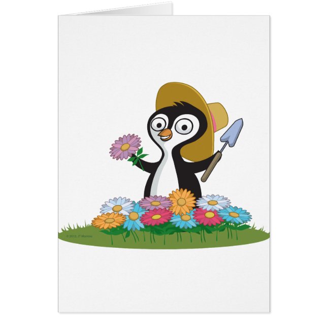 Jardinero de la flor del pingüino (Frente)