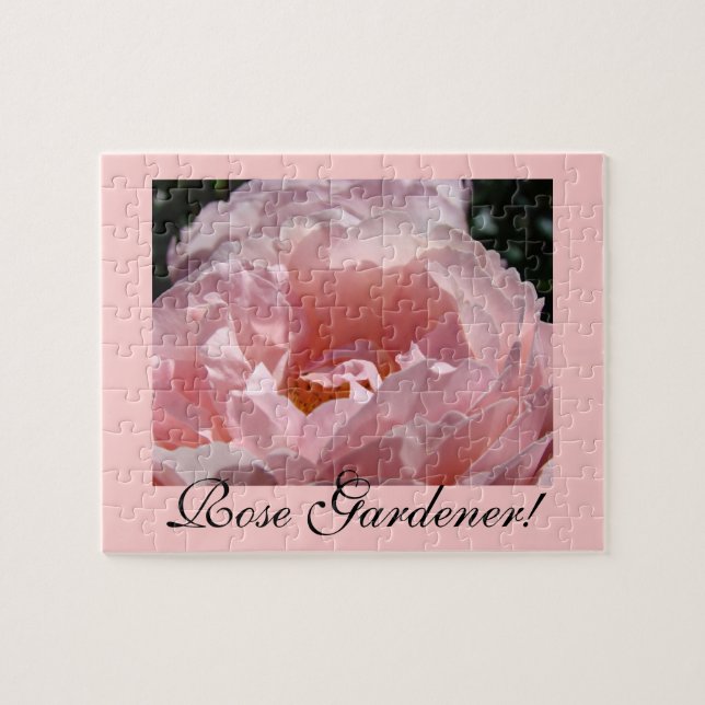 ¡Jardinero de rosas! rompecabezas Flor Rosa Rosa D (Horizontal)