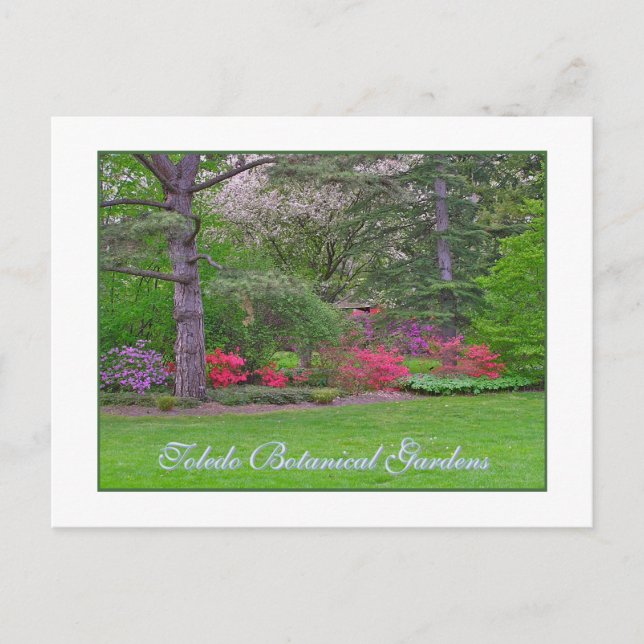 JARDINES BOTÁNICOS DE TOLEDO, PRIMAVERA, TARJETA P (Anverso)