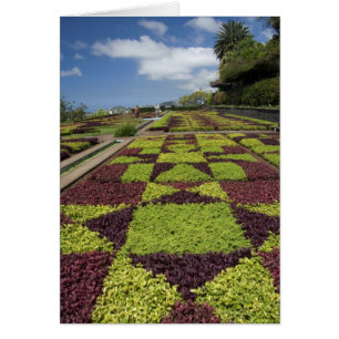Jardines Botánicos, Funchal, Islas Madeira,
