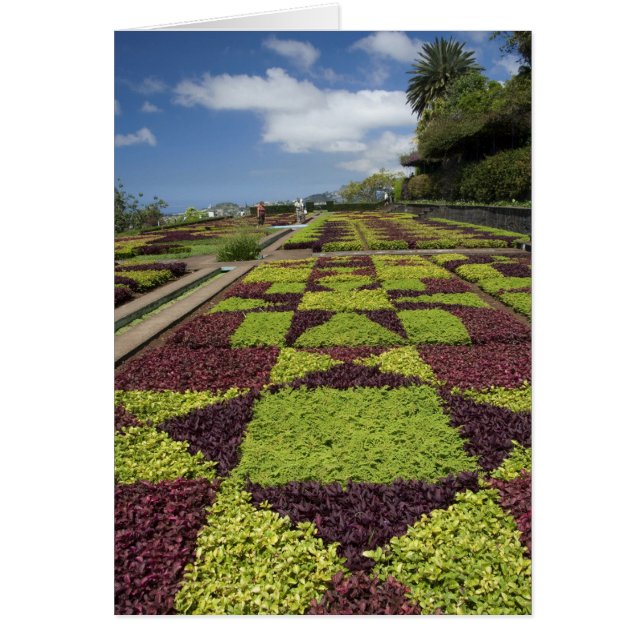 Jardines Botánicos, Funchal, Islas Madeira, (Frente)