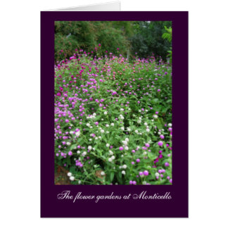 Jardines de flores de Monticello