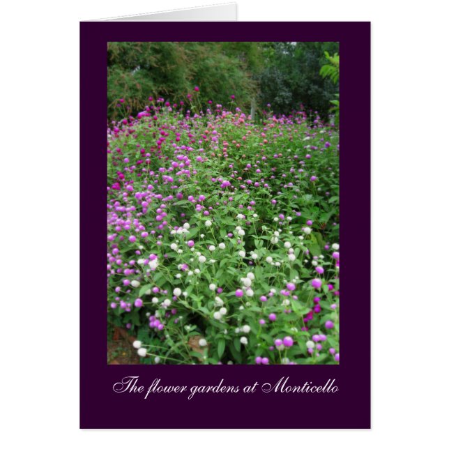 Jardines de flores de Monticello (Frente)