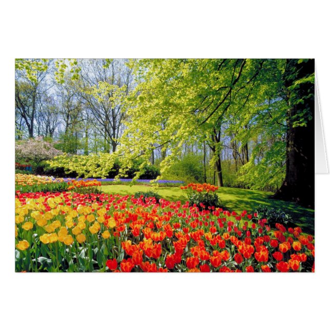 JARDINES DE KEUKENHOF (Anverso (Horizontal))