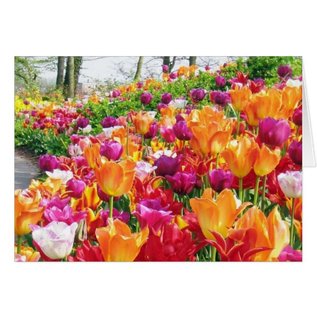 JARDINES DE KEUKENHOF (Anverso (Horizontal))