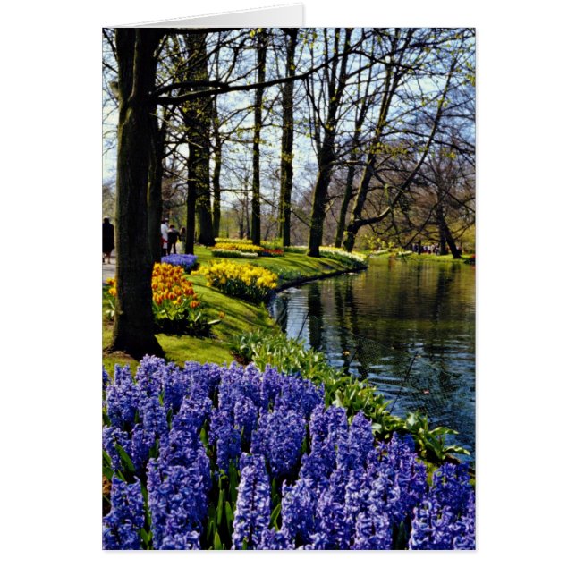 Jardines de Keukenhof, Lisse, flores holandesas (Frente)