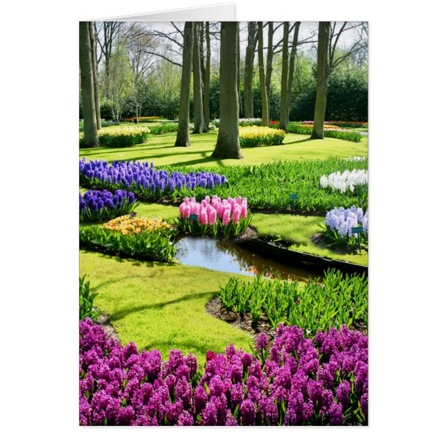 JARDINES DE KEUKENHOF, LISSE HOLANDA (Frente)