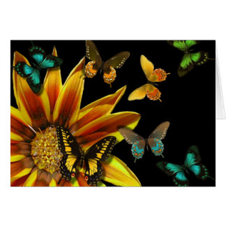 Jardines de la mariposa