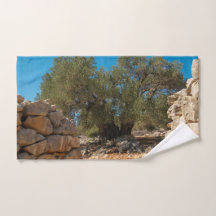 Jardines de oliva de Lun