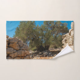 Jardines de oliva de Lun