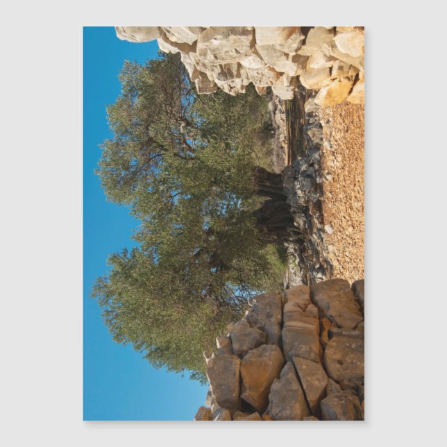 Jardines de oliva de Lun (Anverso)