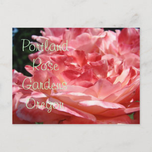 Jardines de rosas de Portland tarjetas postales Ro