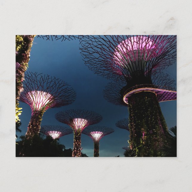 Jardines de Singapur junto a la postal #1 de la Ba (Anverso)