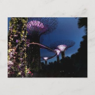 Jardines de Singapur junto a la tarjeta postal #2