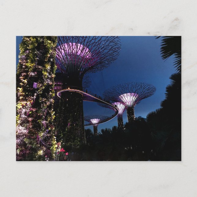 Jardines de Singapur junto a la tarjeta postal #2  (Anverso)