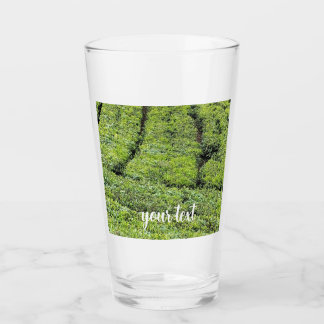 jardines de té de Munnar en