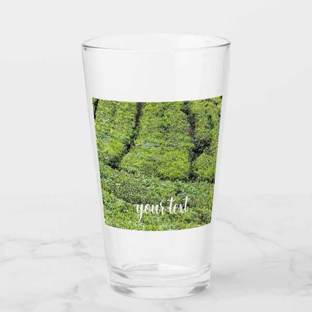 jardines de té de Munnar en (Anverso)