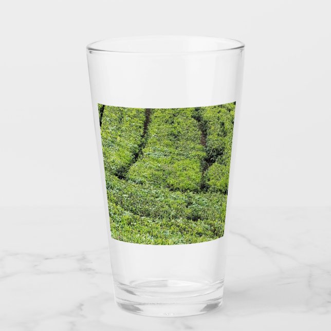 Jardines de té de Munnar en (Anverso)