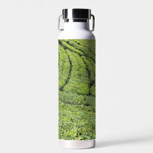 Jardines de té de Munnar en botella de agua