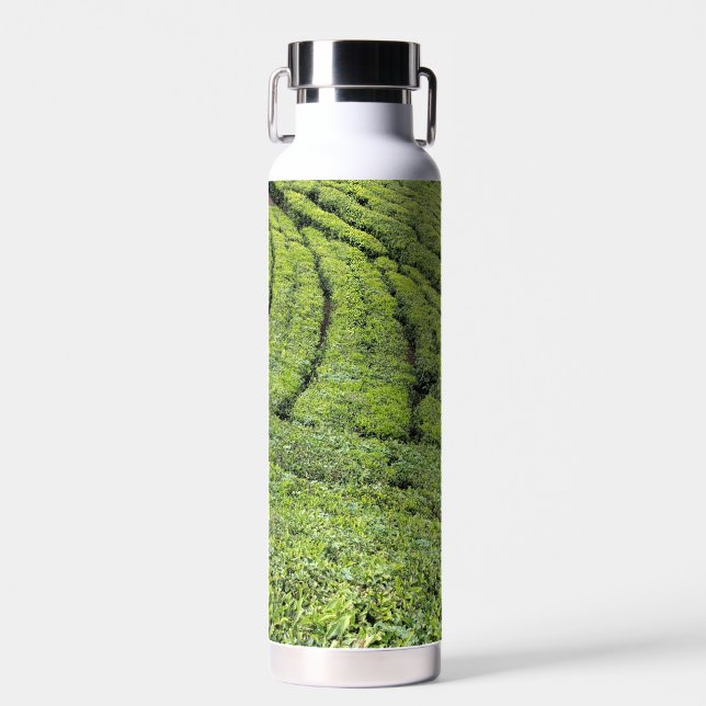 Jardines de té de Munnar en botella de agua (Delantero)